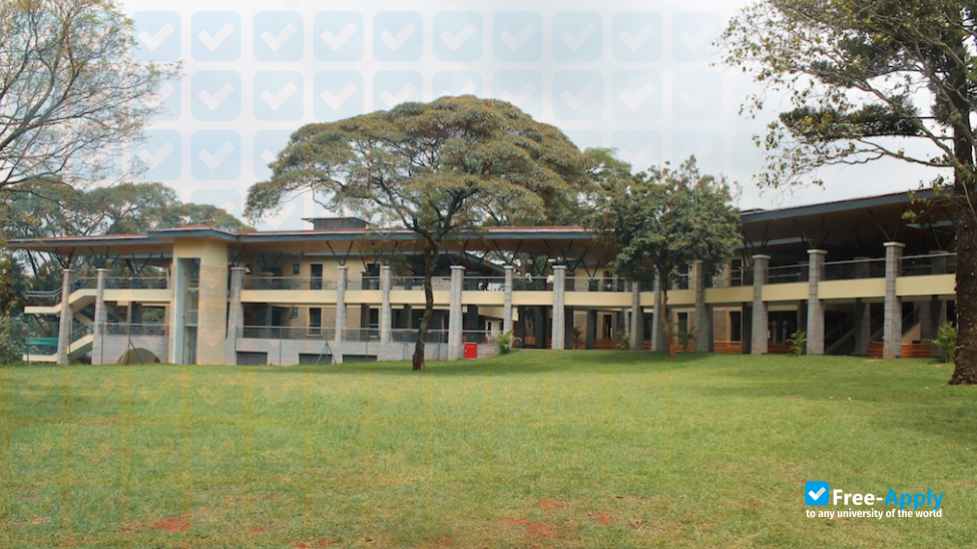 International School of Kenya фотография №7