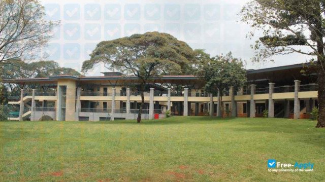 International School of Kenya фотография №3