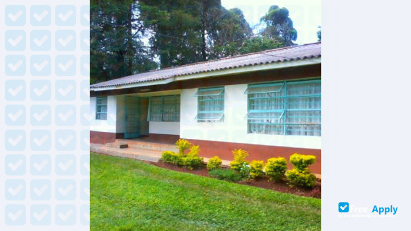 Foto de la Maseno University #6