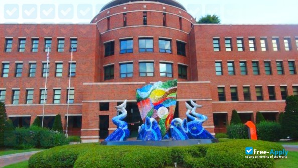 Photo de l’Mokwon University #3