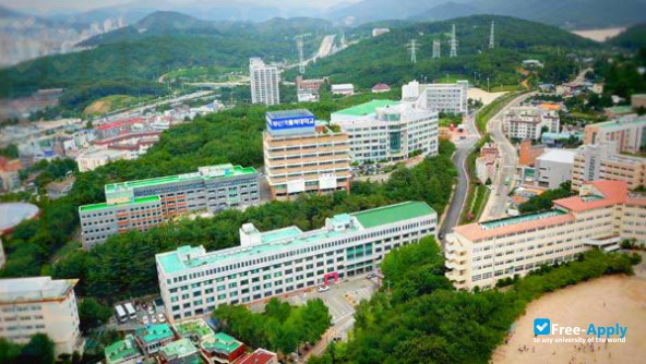 Catholic University of Pusan фотография №7