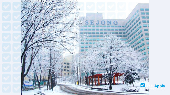 Sejong University photo #5