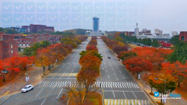 Daegu Cyber University фотография №4