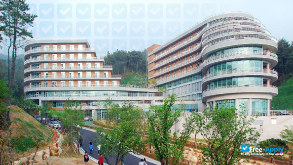 Silla University фотография №4