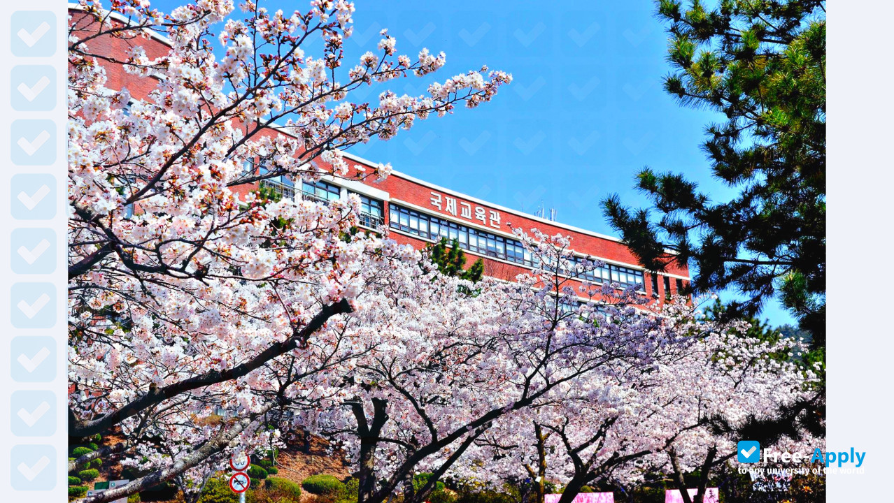 Silla University фотография №6