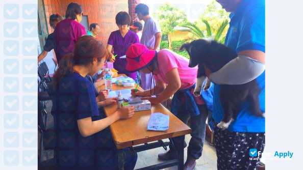 Jeju National University photo #8
