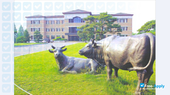 Yonam College of Agriculture photo #15