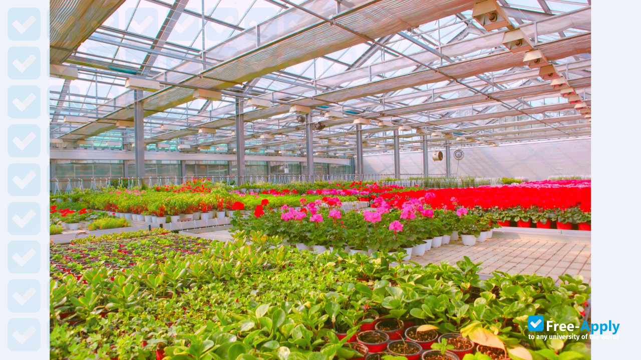 Yonam College of Agriculture photo #14