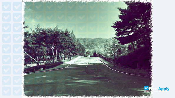 Foto de la Hanseo University #2