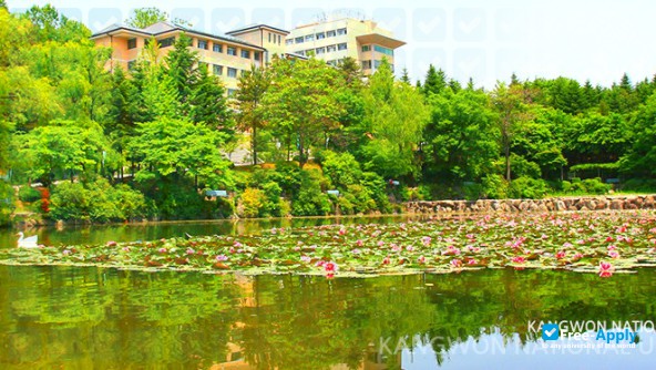 Foto de la Kangwon National University (Samcheok National University) #3
