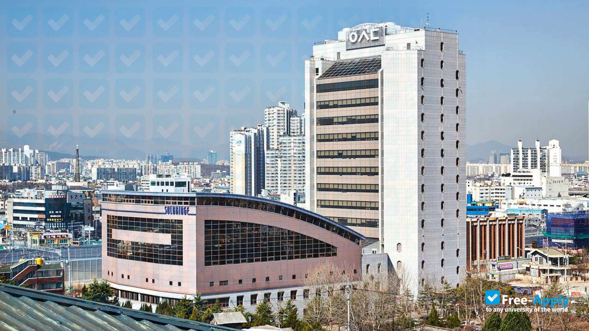 Фотография SolBridge International School of Business