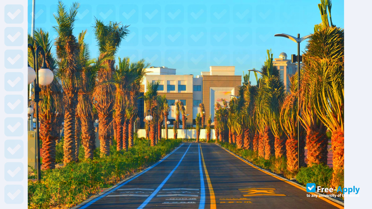 American University of the Middle East photo #2