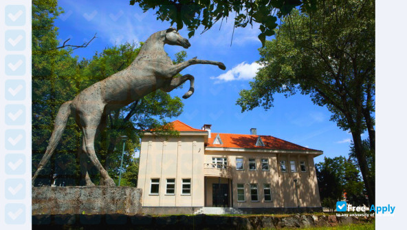Lithuanian University of Health Science (Kaunas University of Medicine, Veterinary Academy) фотография №4