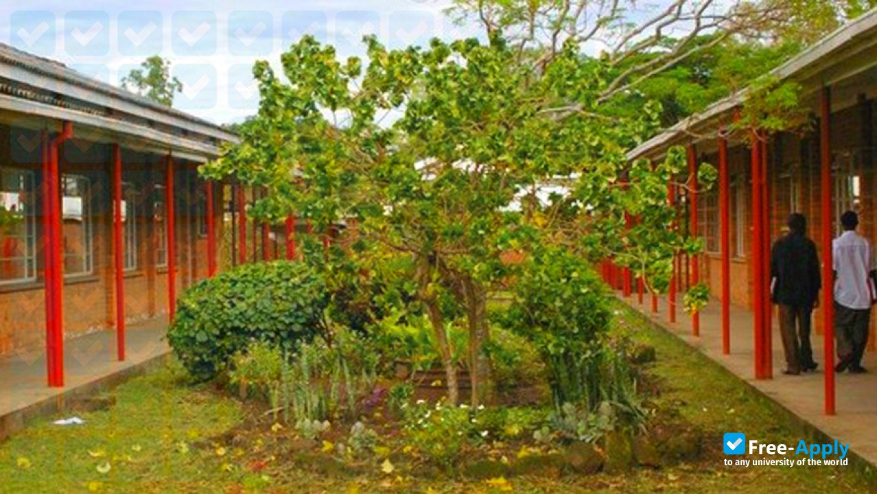 Catholic University of Malawi photo #4
