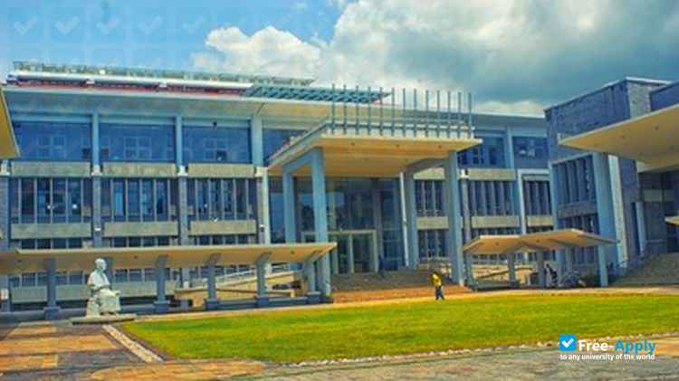 Catholic University of Malawi photo #5