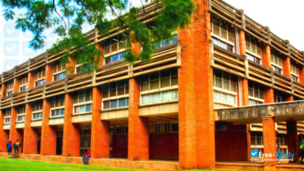 Foto de la University of Malawi