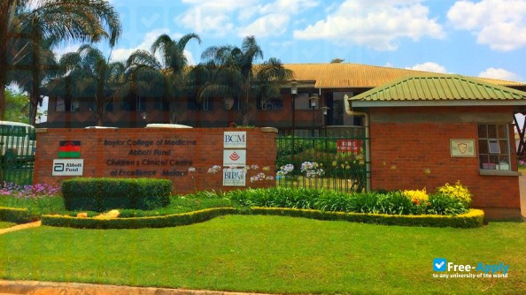 University of Malawi College of Medicine фотография №5