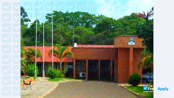 Foto de la Mzuzu University #1