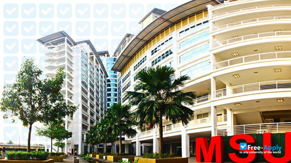 Management & Science University photo #7