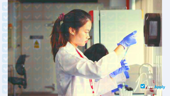 Swinburne University of Technology Sarawak Campus photo #12
