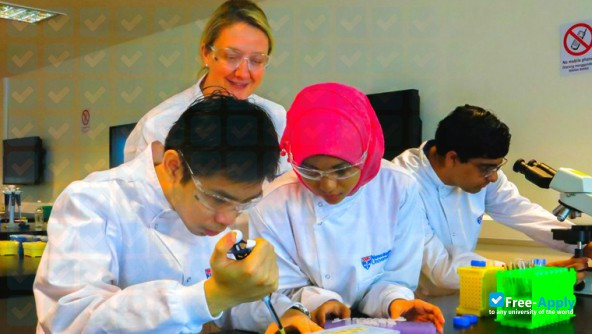 Photo de l’Newcastle University Medicine Malaysia #2