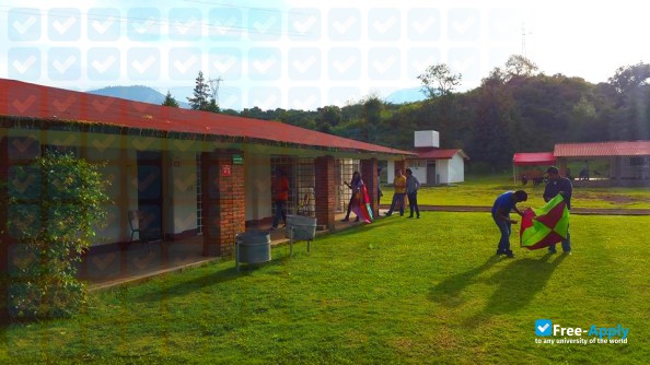 University Center of the Zacapu Valley photo #5