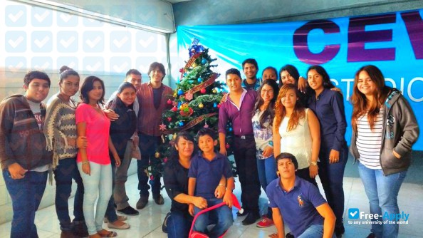 Center of Studies Veracruz photo #1