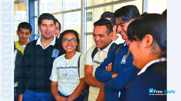 Ensenada Center for Scientific Research and Higher Education photo #10