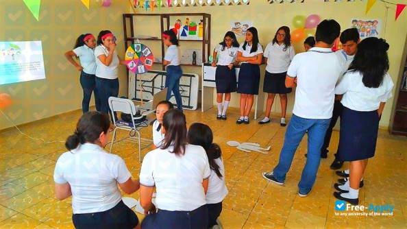 Normal School Manuel C Tello photo #7