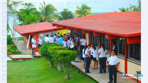 Normal High School Andrés Quintana Roo photo #5