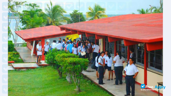 Normal High School Andrés Quintana Roo фотография №8