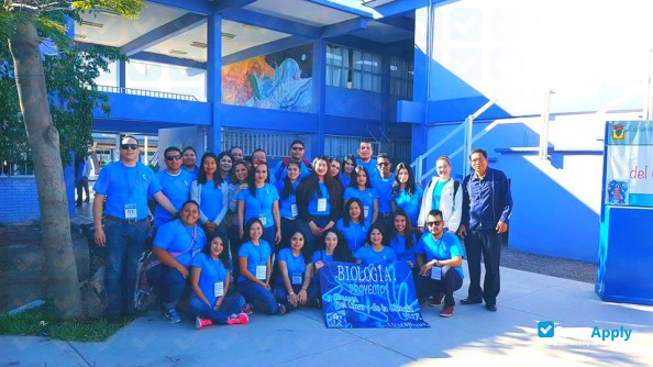 Higher Normal School of the State of Baja California Sur фотография №2