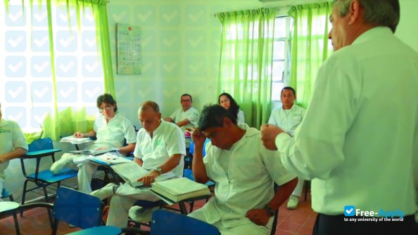 School of Alternative Medicine photo #4