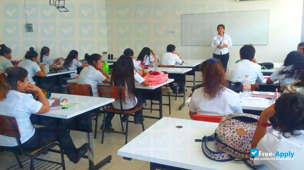 School of Alternative Medicine photo #6