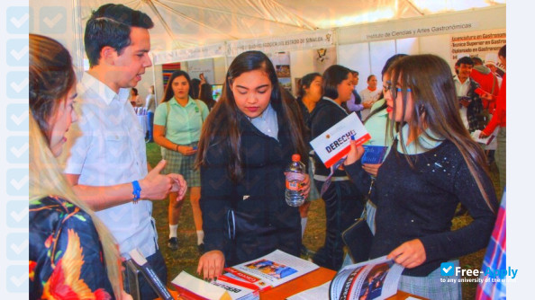 Free School of Law of Sinaloa photo #7