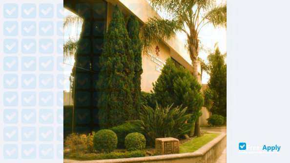College of Public Accountants of Guadalajara Jalisco photo #6