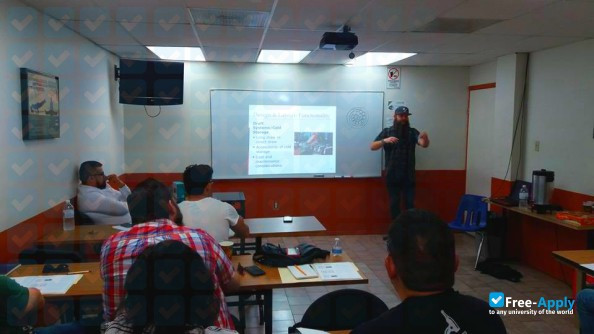 School of Foreign Trade photo #4