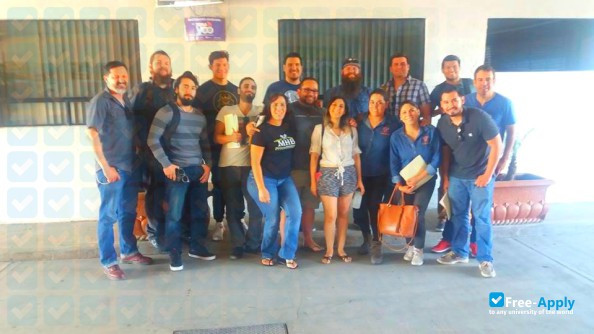 School of Foreign Trade photo #8