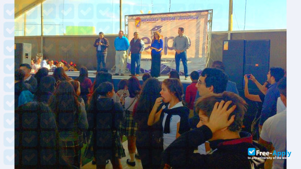 School of Foreign Trade photo #4