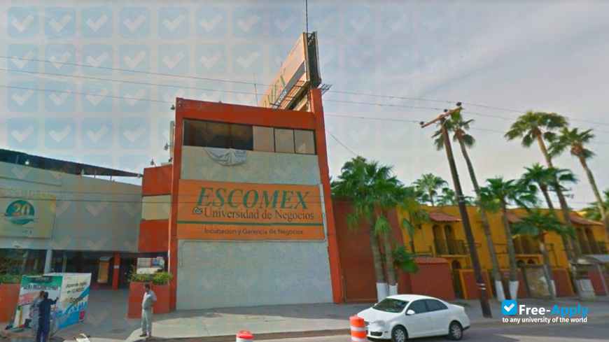 School of Foreign Trade photo #9