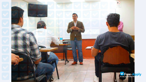 School of Foreign Trade photo #7