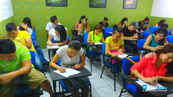 Higher School of Accounting and Administration photo #9