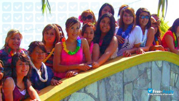 Higher School of Accounting and Administration photo #7