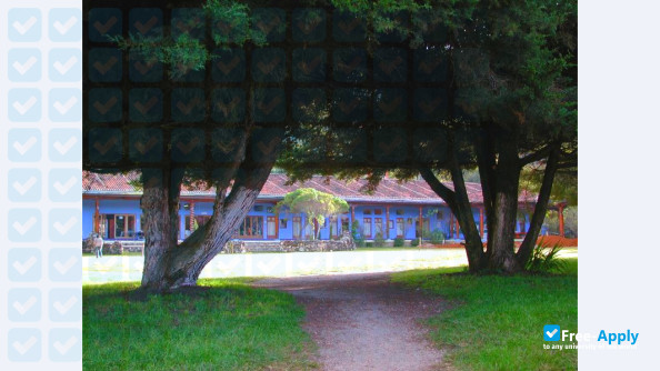 South Border College фотография №3