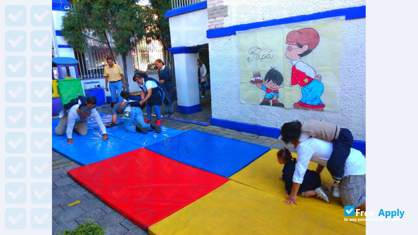 School and International University photo #9