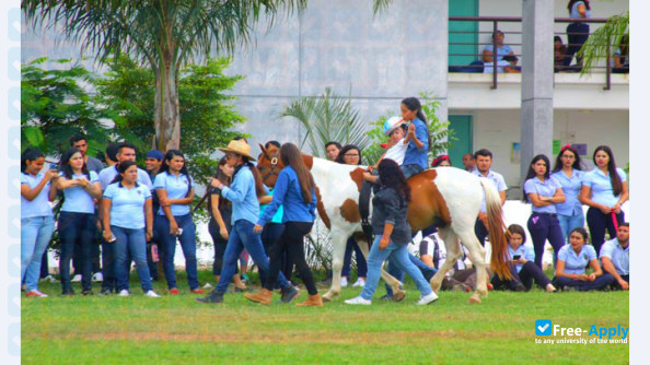 Normal School of Specialization of the State of Sinaloa photo #10