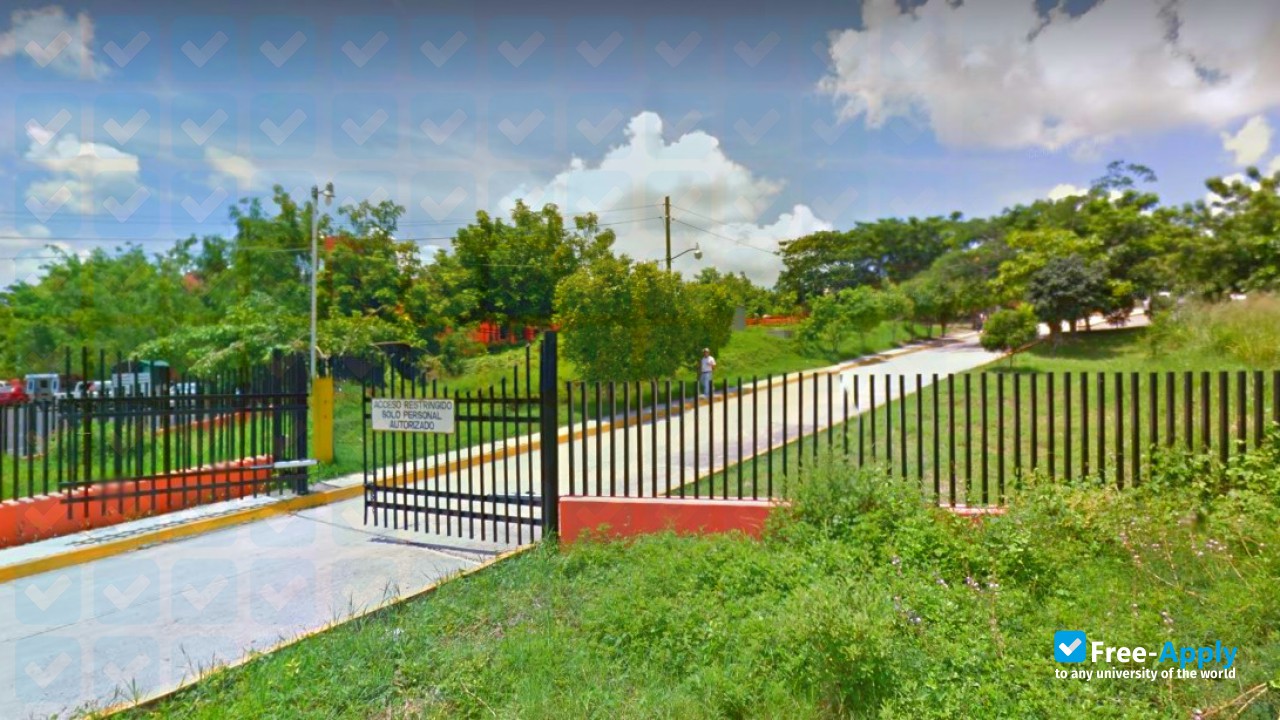 Foto de la Pinotepa Institute of Technology #3