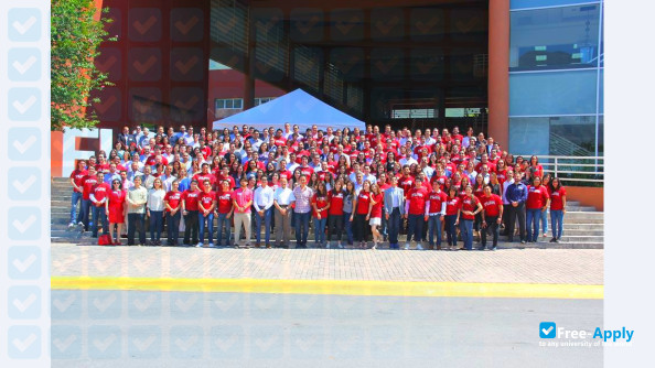 Faculty of Law of Monterrey photo #5