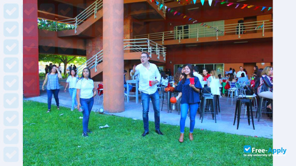 Faculty of Law of Monterrey photo #4