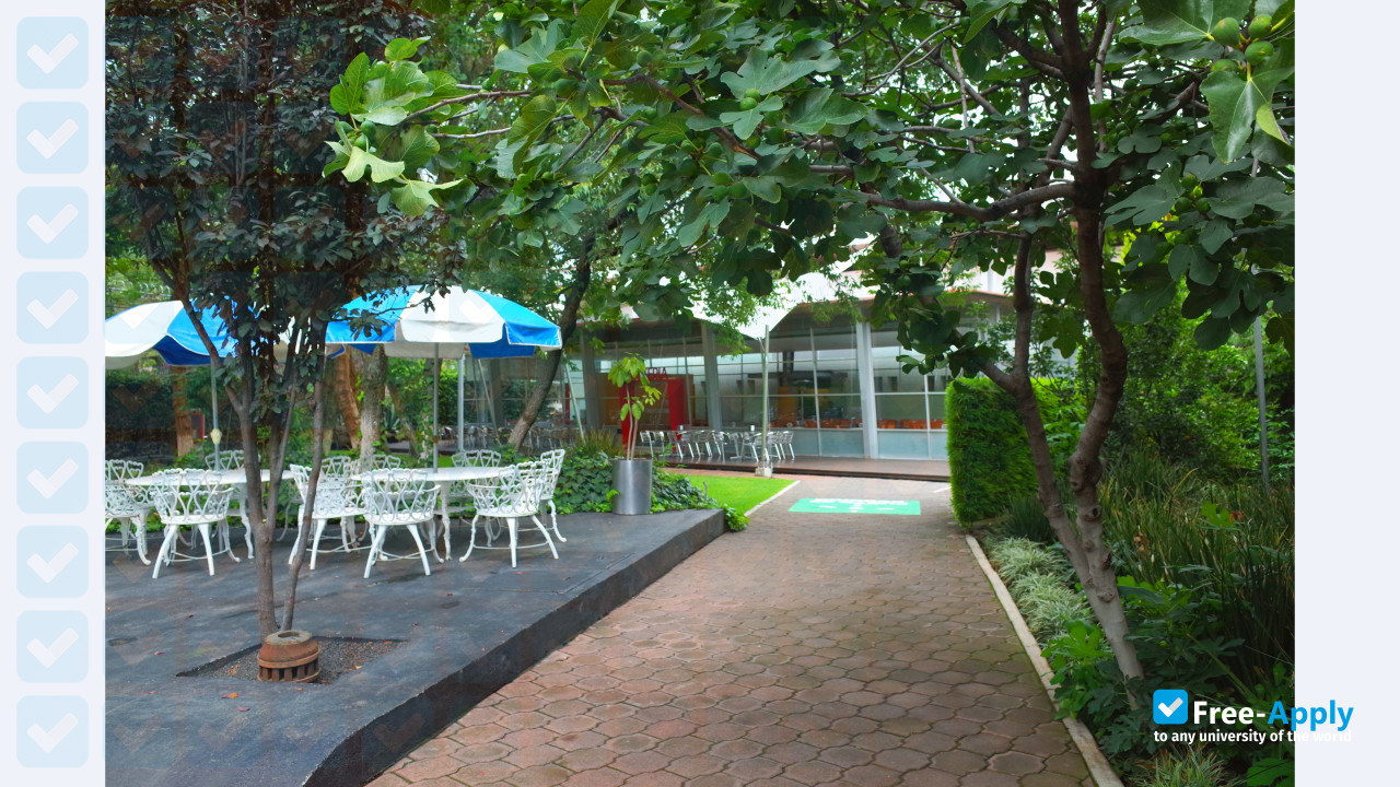FLACSO Mexico Latin American Faculty of Social Sciences photo #2